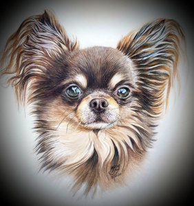 Copy of 20200526_231606